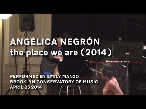 ANGÉLICA NEGRÓN - the place we are (2014)