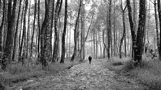 ALINE MILANA - KU TETAP MENCINTAIMU (Official Music Video)