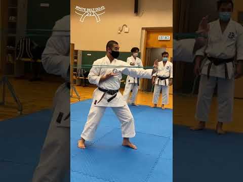 Shorts075 - Chudan Shuto Uke 👊🏻 #shorts