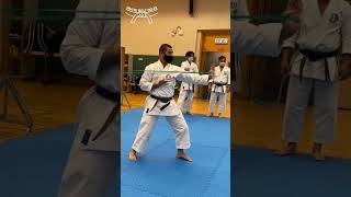 Shorts075 - Chudan Shuto Uke 👊🏻 #shorts