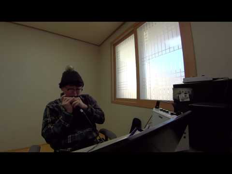 Bluesette-Chromatic Harmonica Play(SUZUKI G-48 GREGOIRE MARET SIGNATURE )