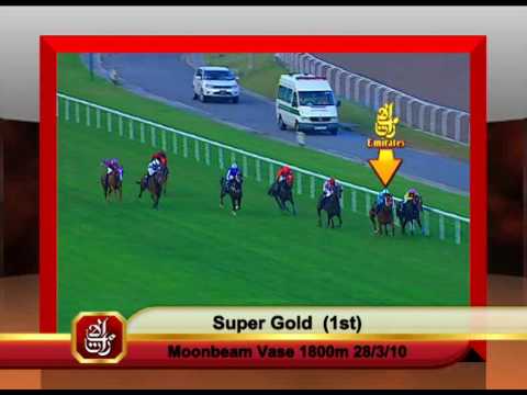 Emirates Singapore Derby 2010 Contenders (Super Gold)