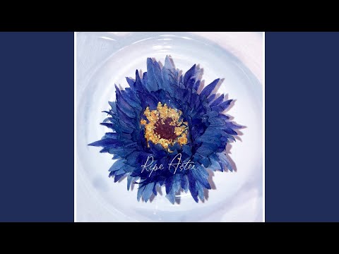 Ripe Aster -Piano Oriented version