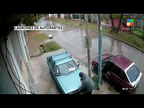 Esperar el bondi + Persecución + Robo de garrafas #CámarasDeSeguridad | Programa completo (02/03/23)