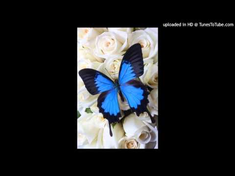 Today's Tango Is... La Mariposa - Pedro Maffia 02-09-1946