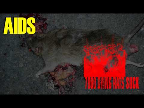 AIDS - 7000 Dying Rats Suck (ft. Adi & Barti)