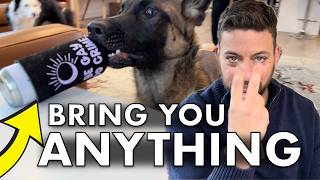 How To Train A Dog To Bring You Things
