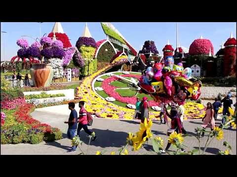 Парк цветов в Дубае Миракл Гарден  Dubai Miracle Garden