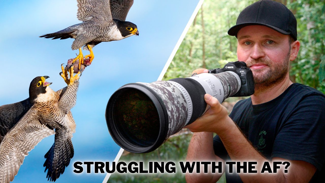 Why Your AUTOFOCUS Always FAILS (And How to Finally FIX IT!)