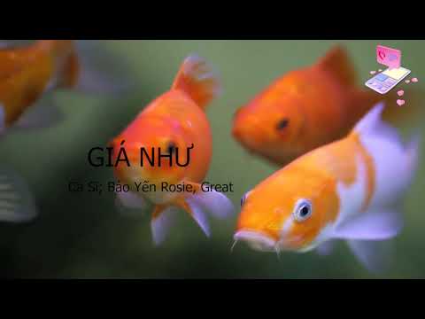 [KARAOKE] GIÁ NHƯ KARAOKE; BẢO YẾN ROSIE, GREAT