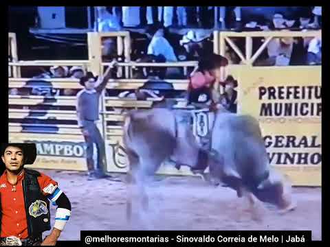 🇧🇷 Sinovaldo Correia de Melo - Jabá | Lenda do Rodeio #rodeio #rodeo