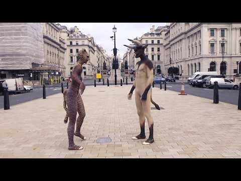 check out my dance moves: Bull and Leopard