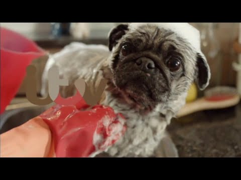 ITV - Last 2013 ident and first 2019 ident - 1st January 2019