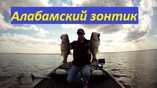 Приманка стайка малька
