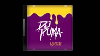 SirensCeol ft  Jeff Sontag   Echoes Guide Me (Remix) [DJ Puma]