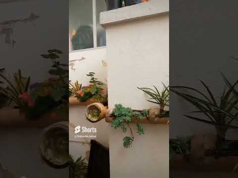 🏨 ¿Un hotel con HUERTA HIDROPÓNICA? SÍ, en Fusagasugá 🤩🌿