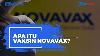 Apa Itu Vaksin Novavax? Ini Cara Kerja Vaksin yang akan Tiba di Indonesia Juni-Juli