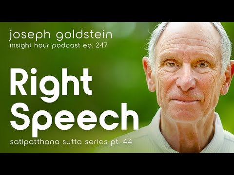 Buddhist Teachings on Right Speech with Joseph Goldstein – Insight Hour Ep. 247 – Suta Series Pt. 44
