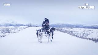 Trying Dog Sledding for the First Time | Stupid Man Smart Phone | The Travel Edit