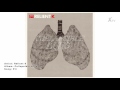 Relient K | Collapsible Lung_PTL.mp4