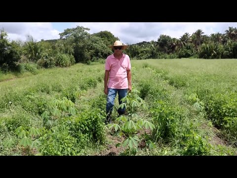 Dados climatológicos apontam aumento de impacto de chuvas no primeiro trimestre no Piauí 14 01 2023