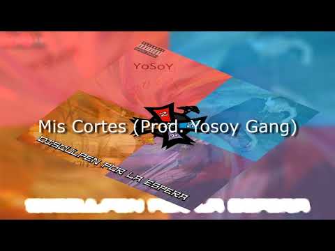 06.- Renan Borjas - Mis Cortes (En Mis Pies) (Prod. YoSoY Gang) (Audio Oficial)