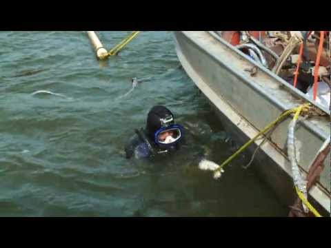 North America's Only Pearl Farm