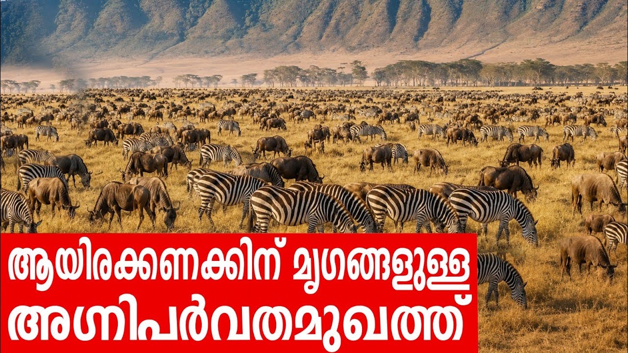 Sancharam | Tanzania - 09 | Santhosh George Kulangara | Safari TV