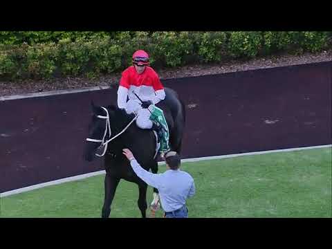 肥仔叻叻 E354 澳洲第五次贏馬 (紅白衫袖紅帽)