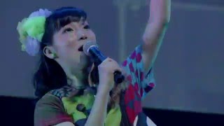 BiS解散LIVE 「BiSなりの武道館」- Hi