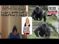 YTP Inside A Gorilla S Butt Edition Cs188 REACTION TripleDaGOD