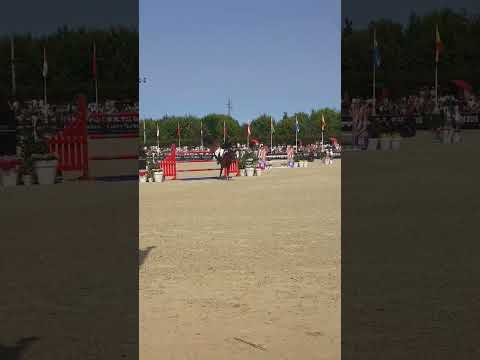 mariana fauches chauves brésil