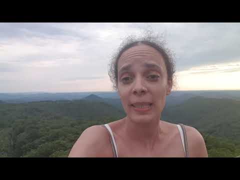 Rhineland Palatinate Forest