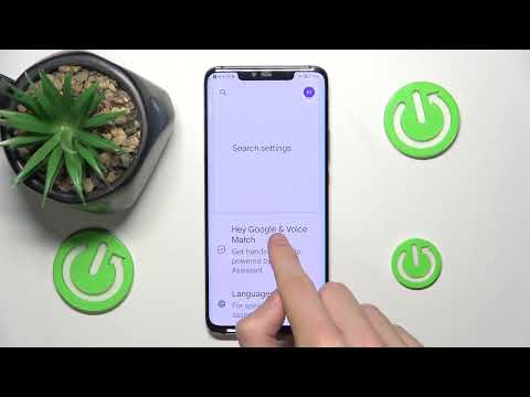 Huawei Mate 20 Pro - How to Turn Off "OK Google"