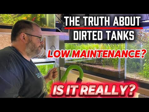  The Myth of Low-Maintenance Dirted Aquariums: The Truth About Dirted Tanks