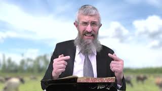 מסכת חולין דף ט - 8 דקות של לומדות ועמקות בדרך הלימוד הישיבתית [Hullin 9]