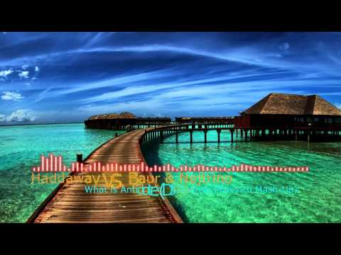 Haddaway vs Baur & Nejtrino What is Antidote (DJ Andrew Malevich Mash Up) (Eletro-House)