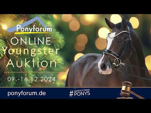 Shania Stute 2020 So Unique / Sarotti