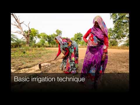 India's Colorful Contrasts - Part 2