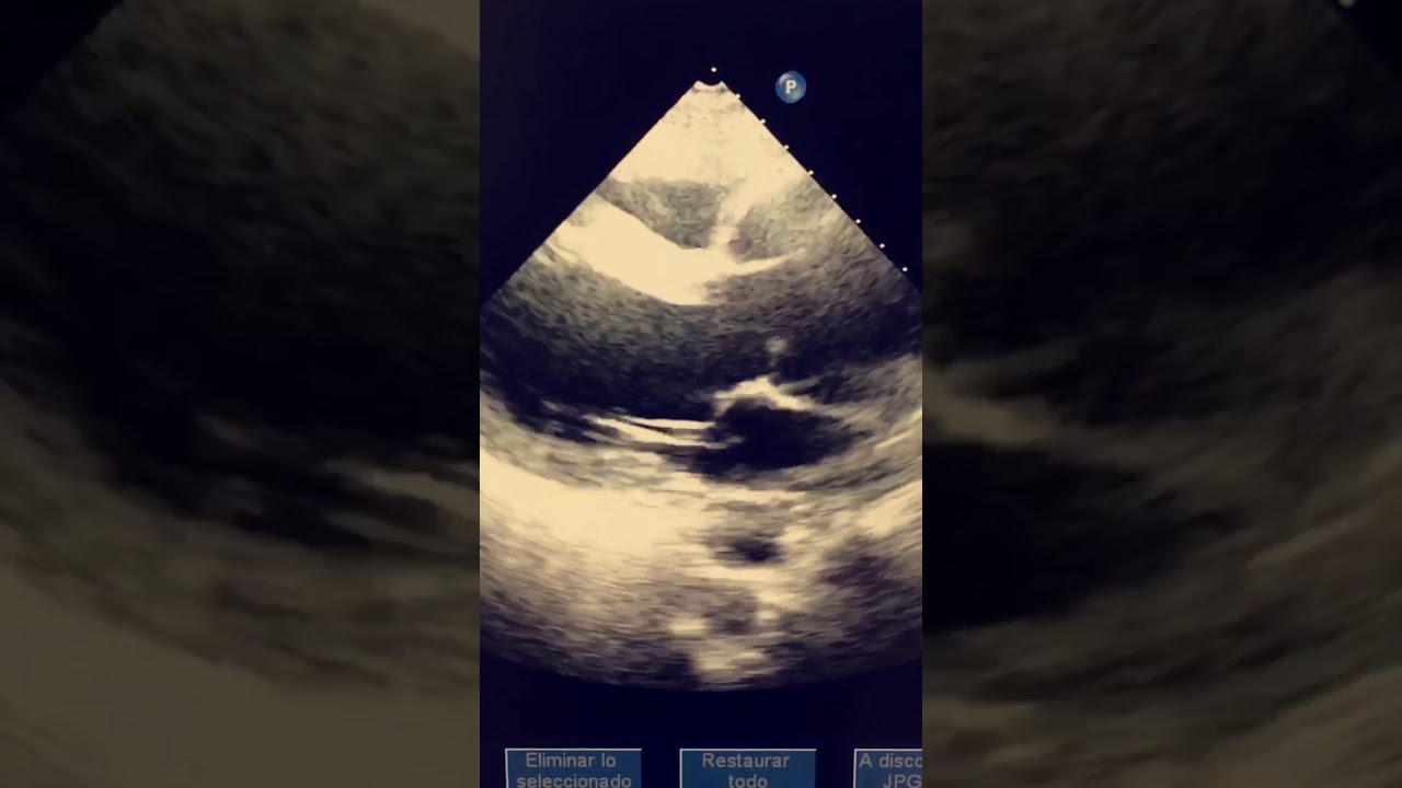 Paulina Orosa Fernández-13