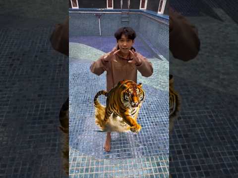 WILLIE SALIM : USULAN KAMERAMEN KONYOL SMUA