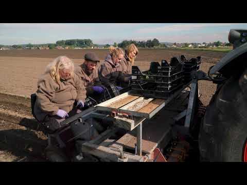 Saaten-Union Biotec: Planting plants at W. von Borries-Eckendorf