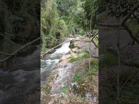 🔴 Bate e Volta - Gonçalves - MG.
