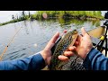 Video Thumbnail for Amazing fishing for stocked trout 