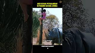 Download lagu AKSI KOCAK PETUALANGAN DI PADANG SAVANA AFRIKA #alurceritafilm #filmpendek #shortvideo #movie mp3 Download lagu AKSI KOCAK PETUALANGAN DI PADANG SAVANA AFRIKA #alurceritafilm #filmpendek #shortvideo #movie mp3