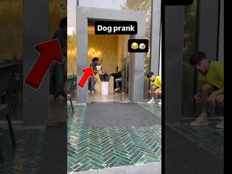 You'll watch it twice 😂I made the dog’s voice sound like Speed
