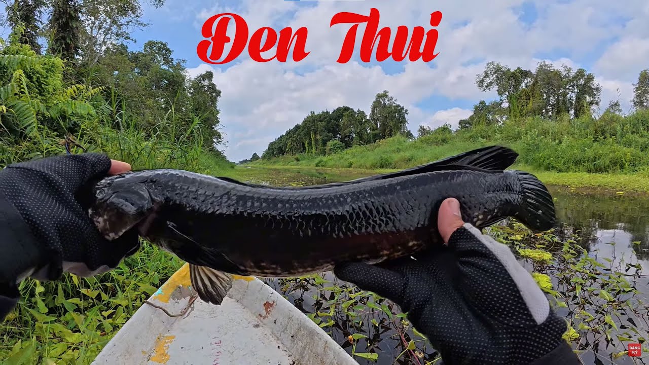 Truy Tìm Hugo U Minh Thượng Phần 1