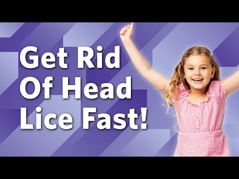 How to Treat Head Lice