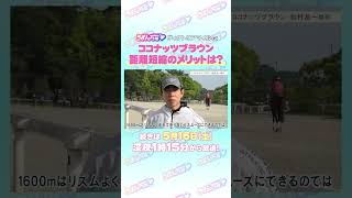 ヴィクトリアマイル GⅠ トレセン直撃取材！ #競馬 #ヴィクトリアマイル #ココナッツブラウン #北村友一 騎手