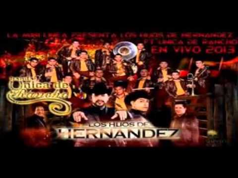 los hijos de hernandez ft  banda la unica del rancho DISCO COMPLETO 2014